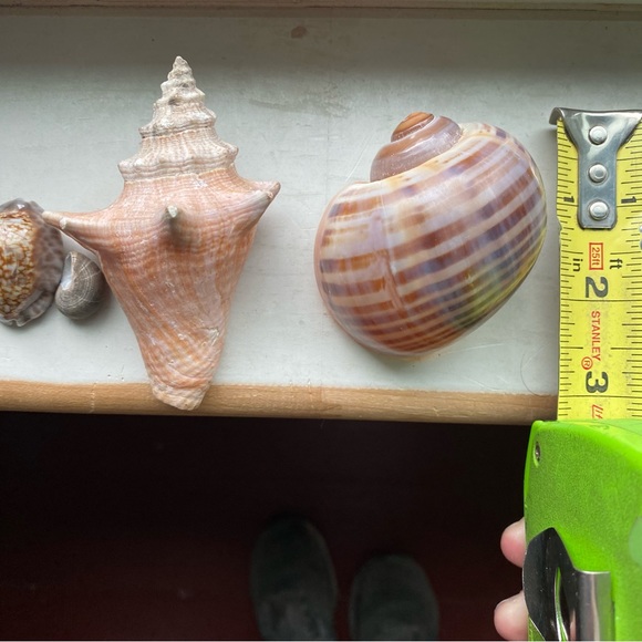 She’ll cluster - Picture 2 of 9